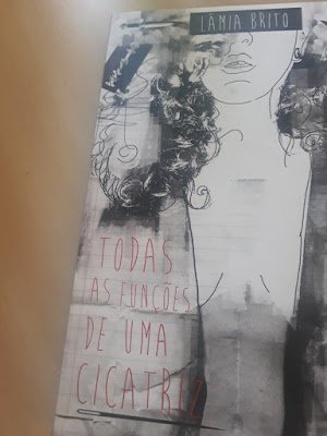 Todos os desejos de uma cicatriz